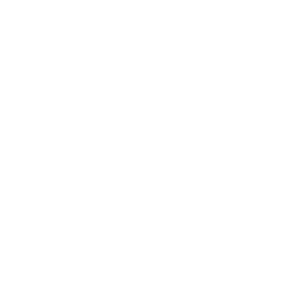 <span>next day</span> delivery